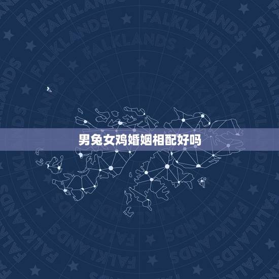 男兔女鸡婚姻相配好吗，93鸡99兔真的不合吗