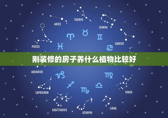 刚装修的房子养什么植物比较好,刚装修好的新房适合放什么植物?有推荐的吗 刚装修的房子养什么植物比较好,刚装修好的新房适合放什么植物?有推荐的吗