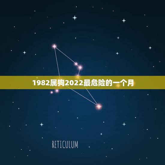 1982属狗2022最危险的一个月，1982属狗的人一生命运如何198