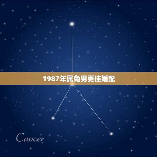 1987年属兔男更佳婚配,1987的兔子更佳配偶 1987年属兔男更佳婚配,1987的兔子更佳配偶