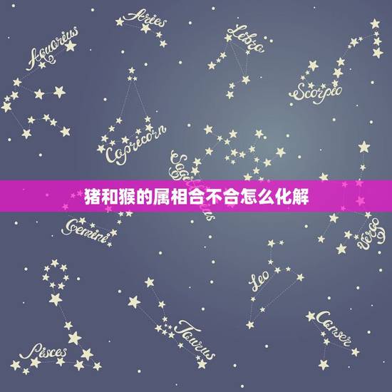 猪和猴的属相合不合怎么化解，属猴的和属猪的相克怎么破解