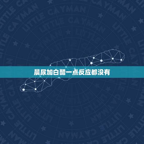 晨尿加白醋一点反应都没有，关于壁虎和醋反应，是否有的问题