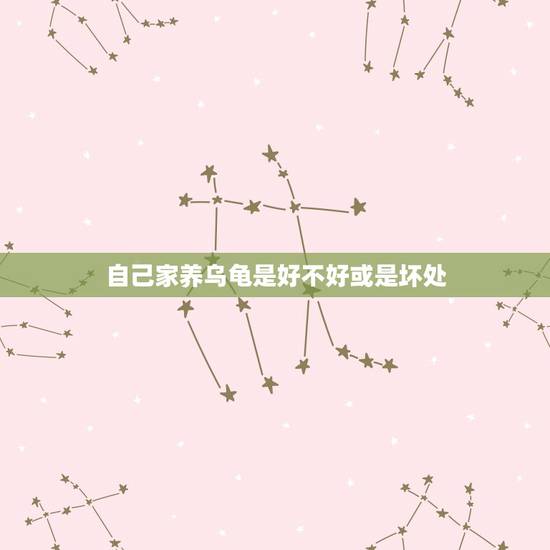 自己家养乌龟是好不好或是坏处，养乌龟会对人造成什么危害呢？