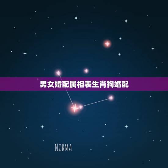 男女婚配属相表生肖狗婚配，女属狗的属相婚配表