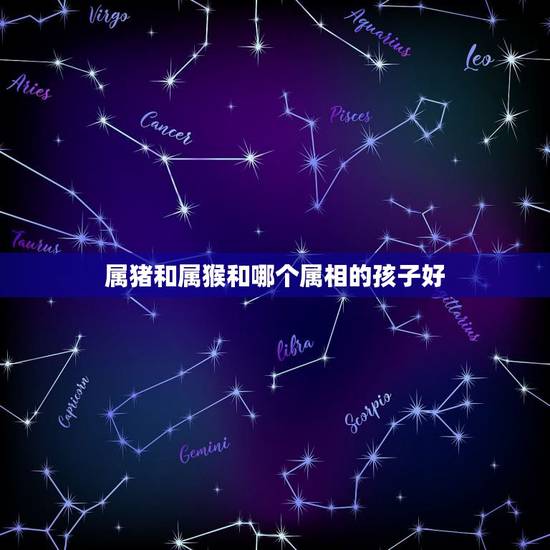 属猪和属猴和哪个属相的孩子好，属猴与属猪生什么属相的孩子好？