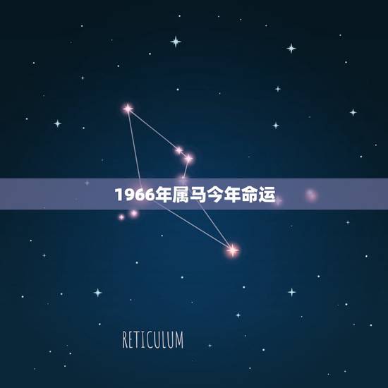 1966年属马今年命运，66属马一生大劫年