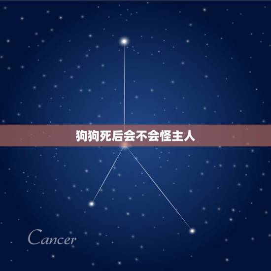 狗狗死后会不会怪主人，狗狗被抛弃后，会不会责怪主人？