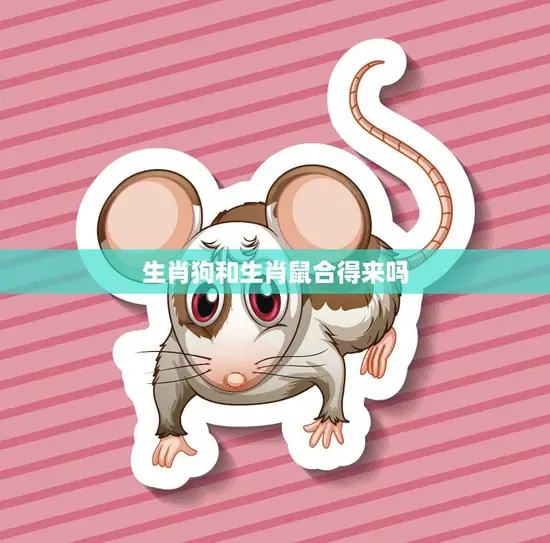 生肖狗和生肖鼠合得来吗(十二生肖中最佳CP) 生肖狗和生肖鼠合得来吗(十二生肖中最佳CP)