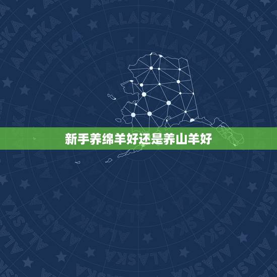 新手养绵羊好还是养山羊好,山羊为什么比绵羊贵 新手养绵羊好还是养山羊好,山羊为什么比绵羊贵
