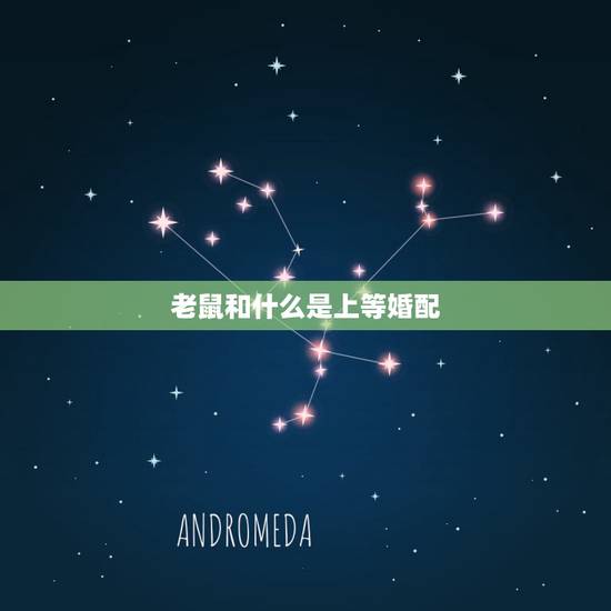 老鼠和什么是上等婚配,属鼠的和什么属相最配 老鼠和什么是上等婚配,属鼠的和什么属相最配