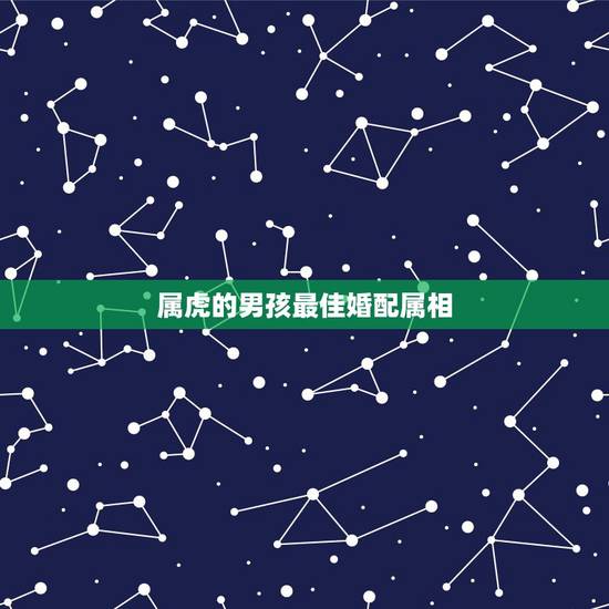 属虎的男孩最佳婚配属相,属虎的男孩与什么属相的女孩婚配最好? 属虎的男孩最佳婚配属相,属虎的男孩与什么属相的女孩婚配最好?