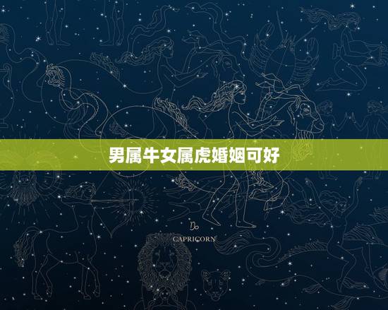 男属牛女属虎婚姻可好，男属牛女属虎婚配如何