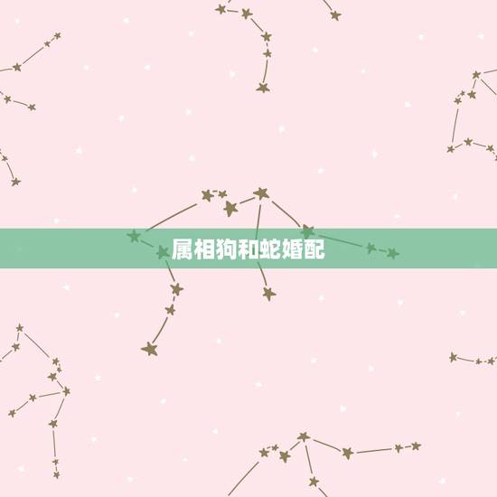 属相狗和蛇婚配,属狗和属蛇配吗 属相狗和蛇婚配,属狗和属蛇配吗
