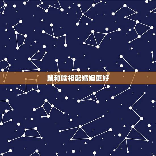 鼠和啥相配婚姻更好,属鼠的女性婚配和哪些最配 鼠和啥相配婚姻更好,属鼠的女性婚配和哪些最配