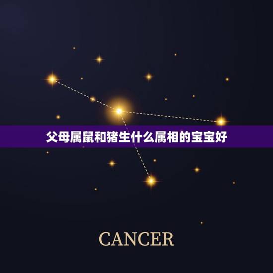 父母属鼠和猪生什么属相的宝宝好,母亲属鼠父亲属猪要什么属相的孩子好 父母属鼠和猪生什么属相的宝宝好,母亲属鼠父亲属猪要什么属相的孩子好