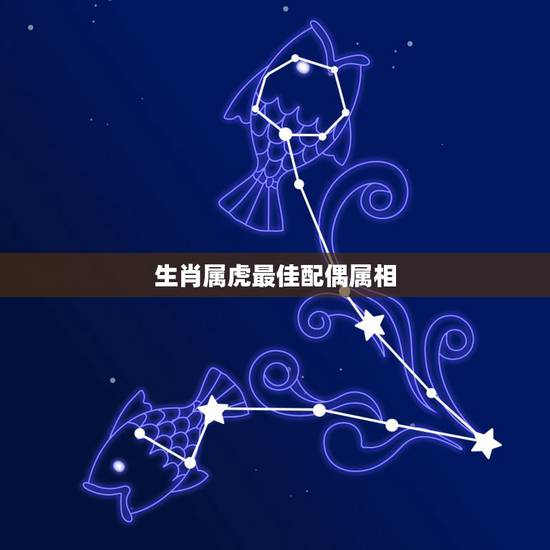 生肖属虎最佳配偶属相，属虎的最佳配偶