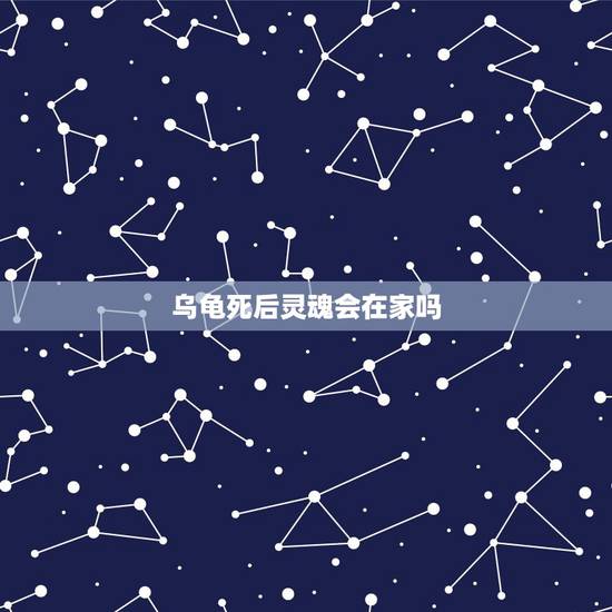 乌龟死后灵魂会在家吗,如何使已经过世的乌龟的灵魂寄宿到自己身体里 乌龟死后灵魂会在家吗,如何使已经过世的乌龟的灵魂寄宿到自己身体里