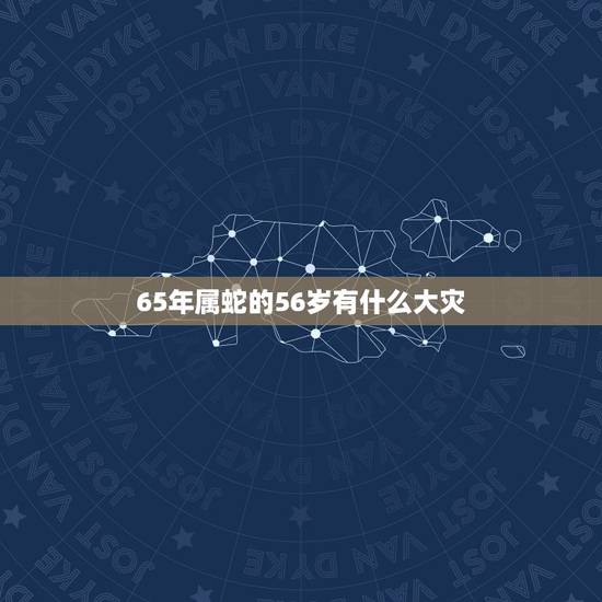 65年属蛇的56岁有什么大灾，逢9的年份必有大灾