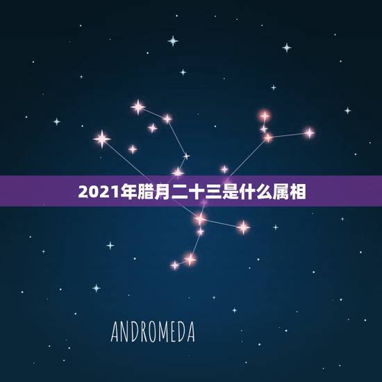 2021年腊月二十三是什么属相，属相年龄对照表2021