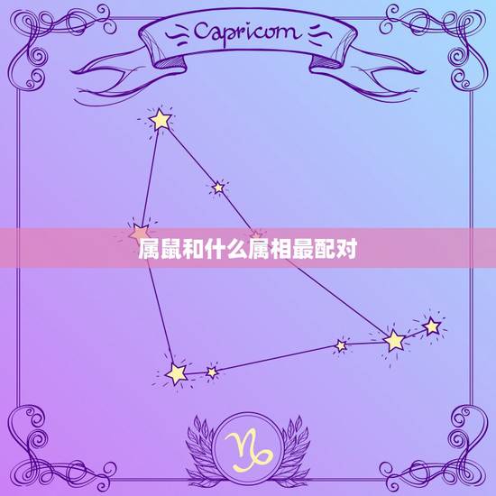 属鼠和什么属相最配对，生肖鼠与哪个生肖最相配