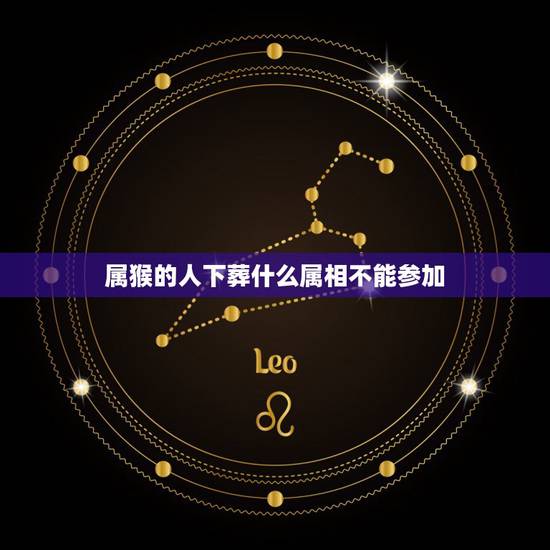 属猴的人下葬什么属相不能参加,属猴的人明天参加下葬适合吗 属猴的人下葬什么属相不能参加,属猴的人明天参加下葬适合吗