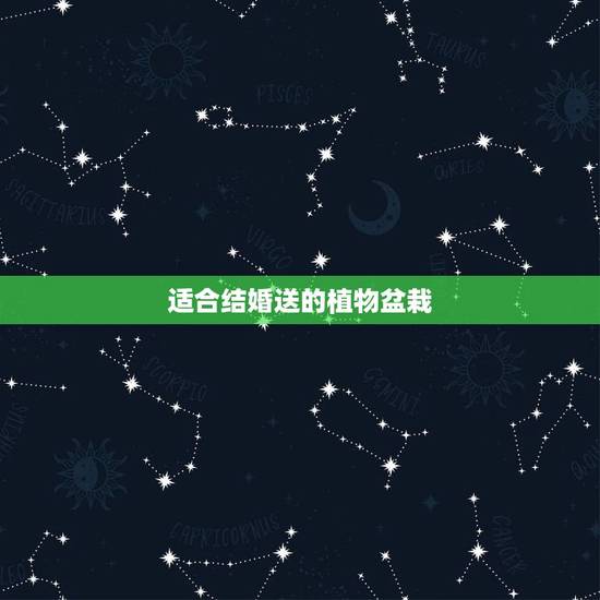 适合结婚送的植物盆栽,乔迁之喜送什么盆栽好? 适合结婚送的植物盆栽,乔迁之喜送什么盆栽好?