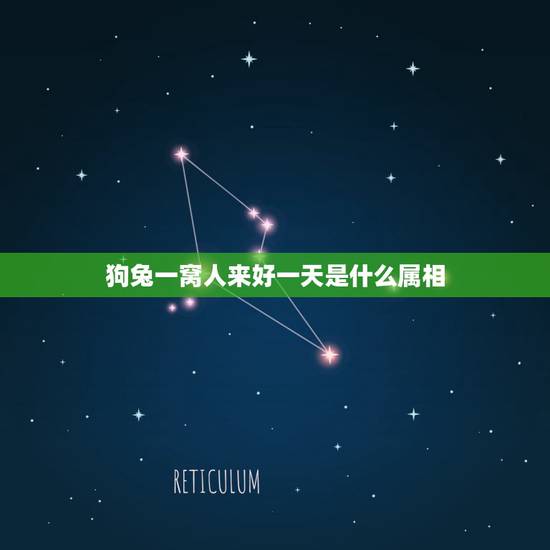 狗兔一窝人来好一天是什么属相，鼠兔狗马双双来，二人同心树家风是什么生肖