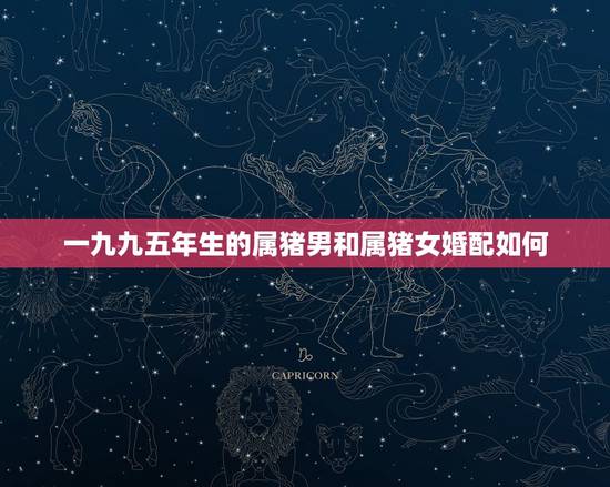 一九九五年生的属猪男和属猪女婚配如何,95年属猪男和属猪女配吗? 一九九五年生的属猪男和属猪女婚配如何,95年属猪男和属猪女配吗?