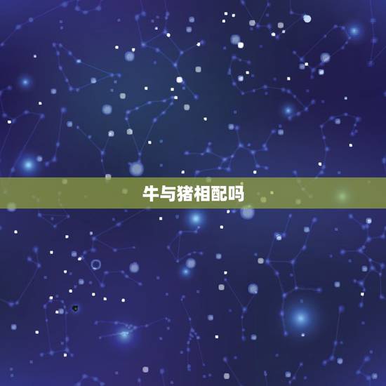 牛与猪相配吗，猪男与女牛相配吗？