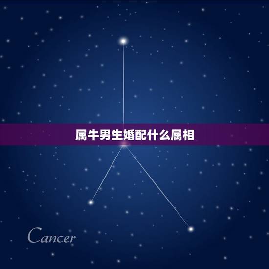 属牛男生婚配什么属相,85年属牛和什么属相的婚配比较合适呀? 属牛男生婚配什么属相,85年属牛和什么属相的婚配比较合适呀?