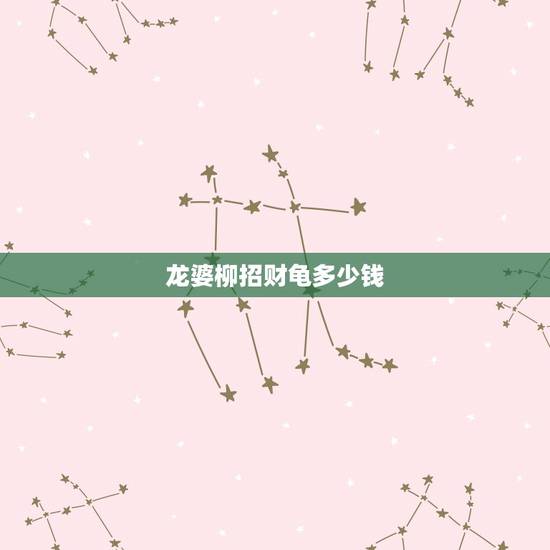 龙婆柳招财龟多少钱，金头龟多少钱一只？