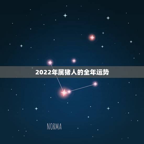 2022年属猪人的全年运势，1983年属猪2022年运势