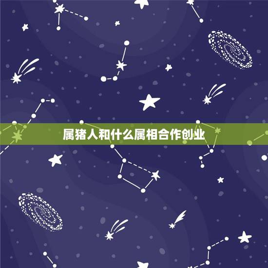 属猪人和什么属相合作创业，属猪的和什么属相做生意最好