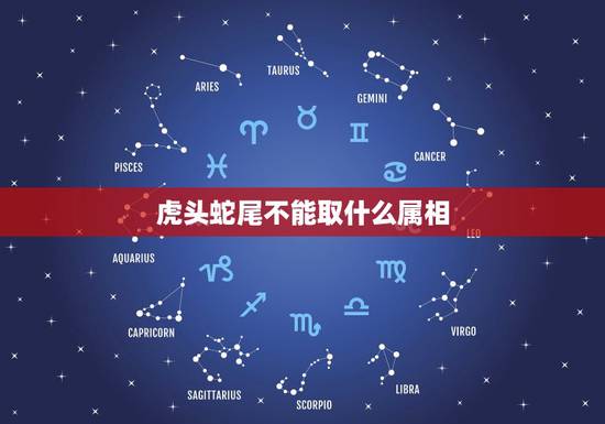 虎头蛇尾不能取什么属相，虎头蛇尾是什么生肖？