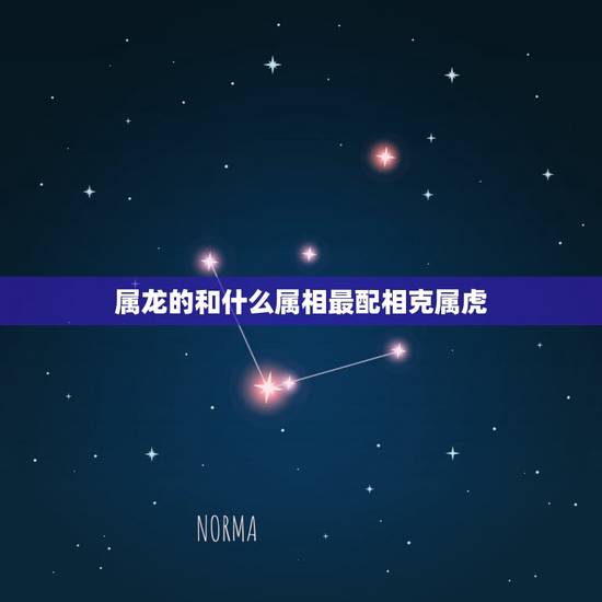 属龙的和什么属相最配相克属虎,男方属虎女方属龙娶客什么属相相克 属龙的和什么属相最配相克属虎,男方属虎女方属龙娶客什么属相相克