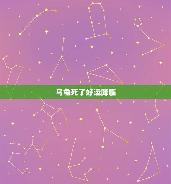 乌龟死了好运降临，乌龟死了是有什么预兆