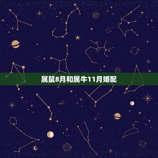 属鼠8月和属牛11月婚配，女人属鼠9月和男人属牛8月结婚好不好