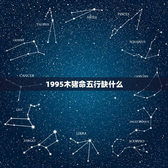 1995木猪命五行缺什么，属猪人五行缺什么？