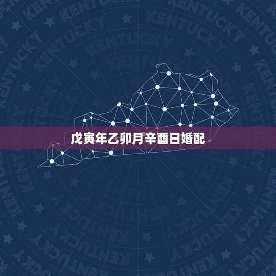 戊寅年乙卯月辛酉日婚配，根据出生年月，求合婚