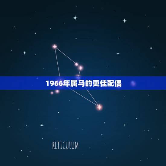 1966年属马的更佳配偶，1993年属鸡2022 年运势