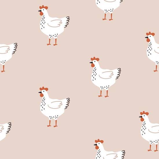 生肖鸡今日运势