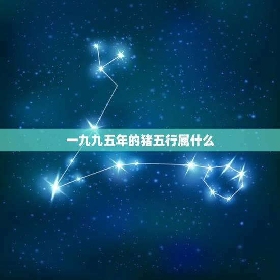 一九九五年的猪五行属什么，木猪命五行缺什么