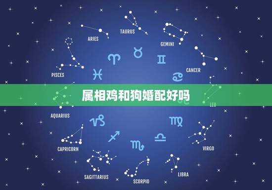 属相鸡和狗婚配好吗，情侣属相鸡和狗好吗？