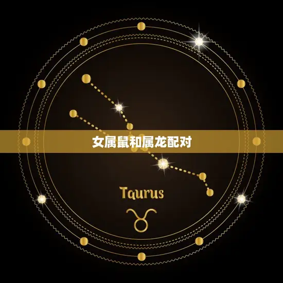 女属鼠和属龙配对