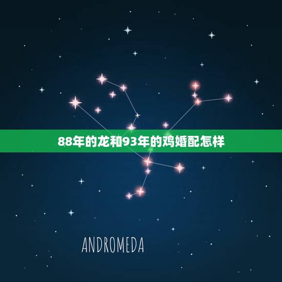 88年的龙和93年的鸡婚配怎样，1988年属龙的和1993年属鸡的婚姻