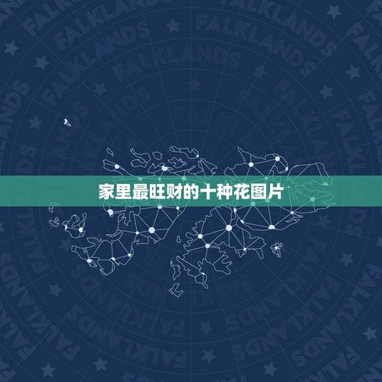 家里最旺财的十种花图片，家里放什么花好招财