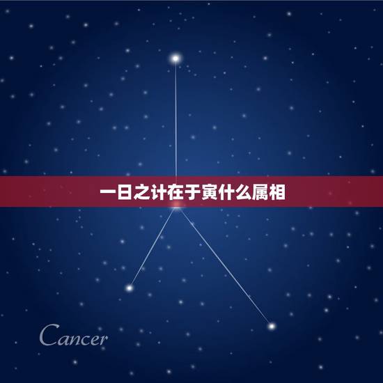 一日之计在于寅什么属相,一日之计在于寅指什么生肖 一日之计在于寅什么属相,一日之计在于寅指什么生肖