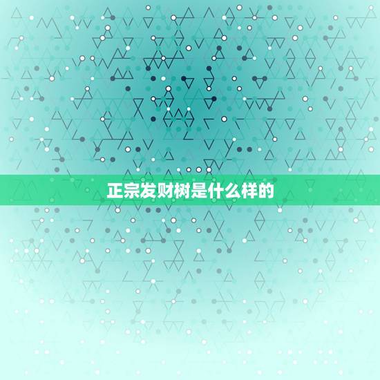 正宗发财树是什么样的,什么样的发财树好 正宗发财树是什么样的,什么样的发财树好
