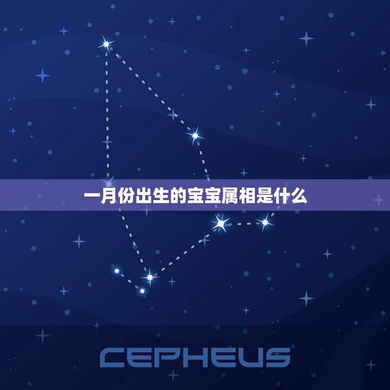 一月份出生的宝宝属相是什么，2022年1月出生的宝宝属什么？