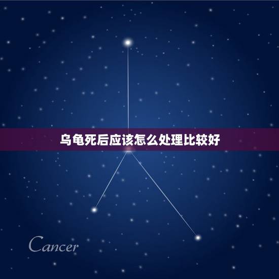 乌龟死后应该怎么处理比较好，小乌龟死后要怎么处理？